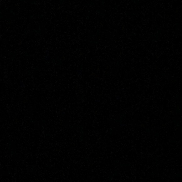 Meet your Posher, Tanner - Picture 1 of 1